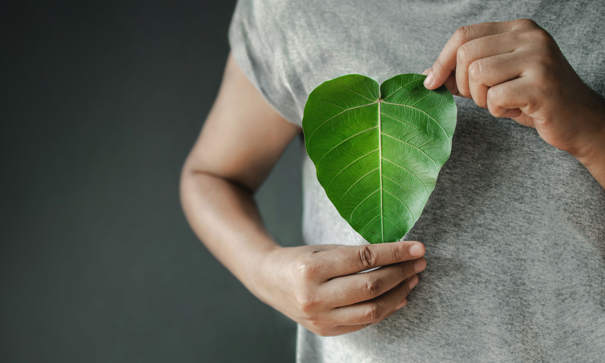 Una foglia a forma di cuore tra le mani